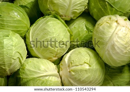 Group of Cabbages