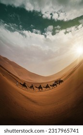 A group of camels in the desert