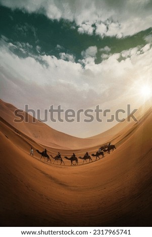 A group of camels in the desert