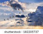 Group of Canadian geese flying in V-formation over sunburst