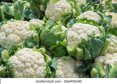Group of cauliflowers with green leaves