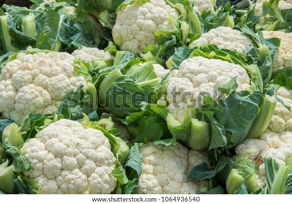Group of cauliflowers\
with green leaves