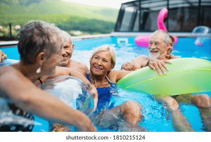 Group of cheerful seniors in swimming pool outdoors in backyard, talking.