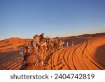 A group of cheerful tourists embarks on a camel safari, exploring the enchanting Sahara Desert in Morocco