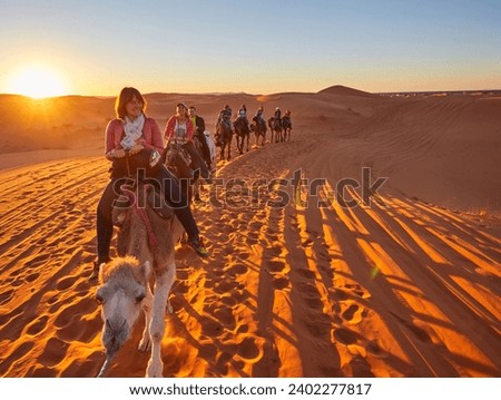 A group of cheerful tourists embarks on a camel safari, exploring the enchanting Sahara Desert in Morocco
