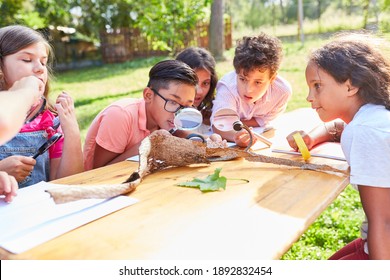 Group of children at the ecological summer camp look at tree bark through a magnifying glass