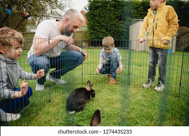 Group of children kneeling outdoors next to a rabbit pen. They are trying to pet the rabbits by putting their fingers through the holes in the fence.