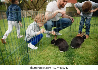 Group of children kneeling outdoors next to a rabbit pen. They are trying to pet the rabbits by putting their fingers through the holes in the fence.