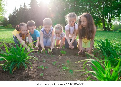 a group of children is planting trees in the park - Shutterstock ID 1110306530