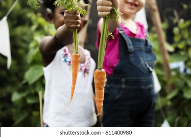 Group Of Children Planting Vegetable In Greenhouse