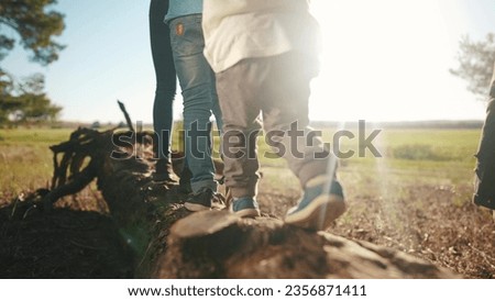 group of children playing in the park. legs close-up walking on a log in a forest park. happy family kid dream concept. group team of children walk on a fallen tree in a forest park lifestyle