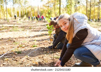 Group of children in a school class planting trees in the forest for reforestation and nature conservation - Shutterstock ID 2125415180
