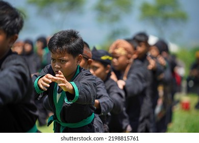 3,501 Silat Images, Stock Photos & Vectors | Shutterstock