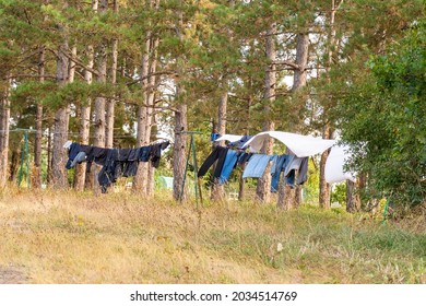 a group of clothes in the forest