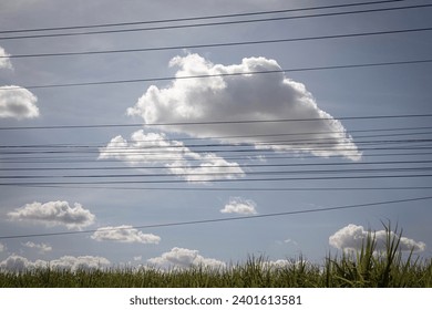 A group of clouds on the field floating at a low level There is a long line of electrical wires running in front.