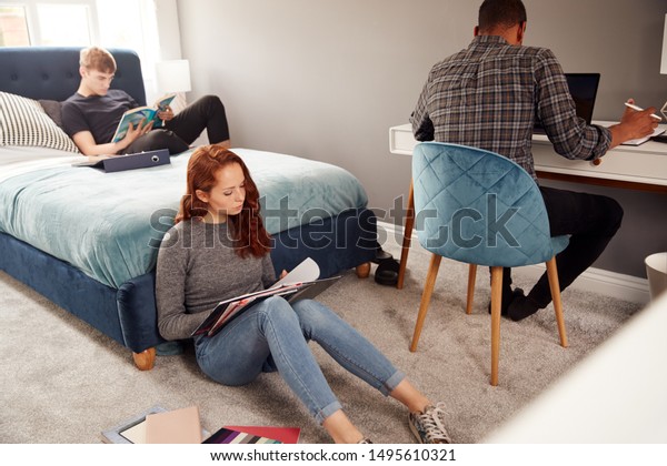 Group Of College Students In Shared House\
Bedroom Studying Together