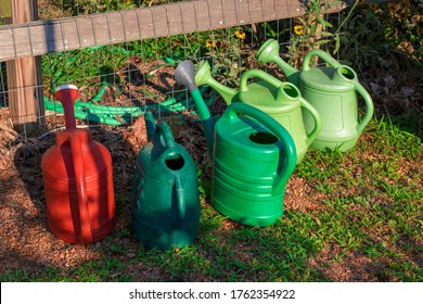 A Group Of Colorful Plastic Watering Cans Is Lined Up On The Ground Next To A Wooden Fence In A Community Garden. Yellow Flowers And A Garden Hose Are Visible In Background.