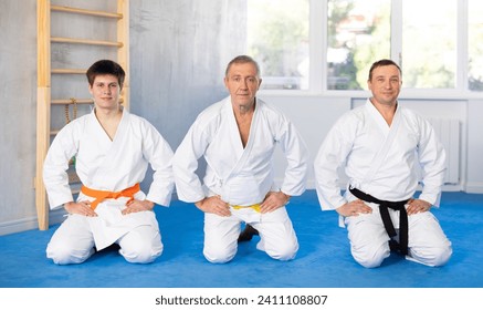 Group of confident successful male martial arts fighters of different ages in white kimonos sitting on knees on tatami in gym, preparing for training.. - Powered by Shutterstock