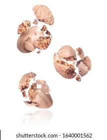 Group Of Crushed Nutmeg In The Air Close-up On A White Background