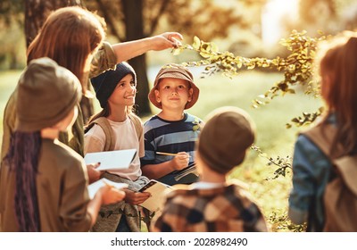 Gruppe von neugierigen Schulkindern mit Notizbüchern, die ihre junge Lehrerin anhören, während sie zusammen über die Natur lernen, während sie im Herbstwald an sonnigen Tagen grünes Blatt während des Ökologiestudiums ansehen