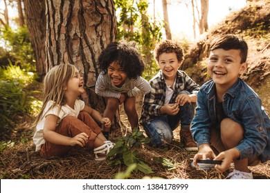 Group cute kids sitting together in forest   looking at camera  Cute children playing in woods 