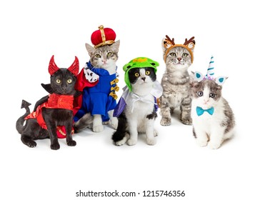 Group Of Cute Kittens Wearing Halloween Costumes On White Background