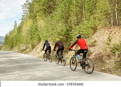 Group Of Cyclists On A Forest Road. Team Outdoors. Mountain Bike