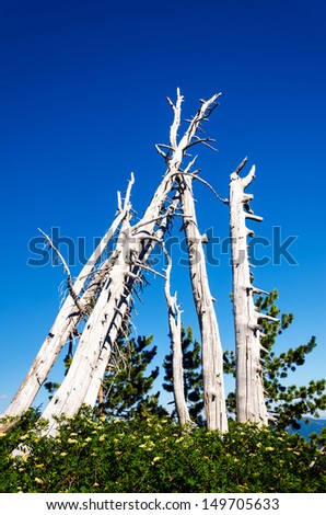 Similar – Image, Stock Photo dead | but now a supporting role