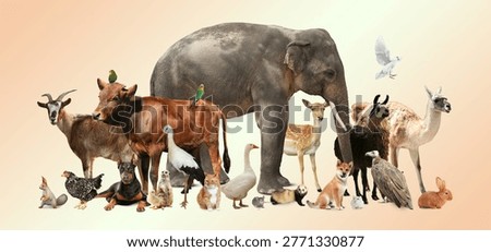 Group of different animals on beige gradient background