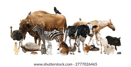 Group of different animals on transparent background