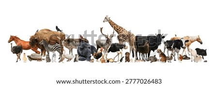 Group of different animals on transparent background