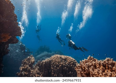 A group of divers blowing air bubbles swim past beautiful corals underwater.