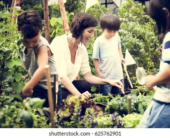 Group Of Diverse Kids Learning Environment At Farm