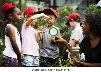 Group Of Diverse Kids Learning Environment At Farm