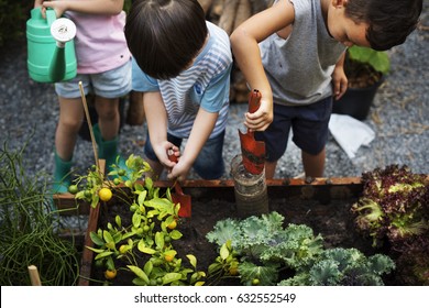 Group Of Diverse Kids Learning Environment At Farm