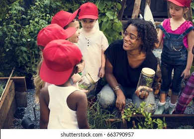 Group Of Diverse Kids Learning Environment At Farm