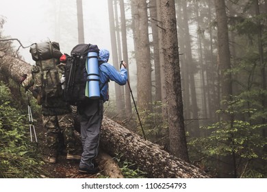 Group Of Diverse Men Trekking In The Forest Together