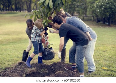 Group of Diverse People Planting Tree Together - Shutterstock ID 604302530