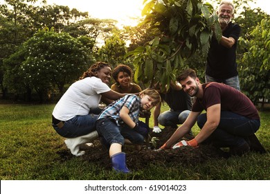 Group Of Diverse People Planting Tree Together