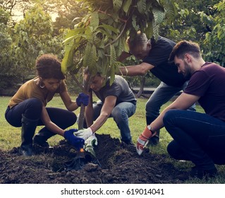 Group Diverse People Planting Tree Together