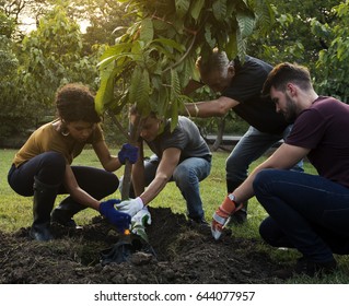 Group Of Diverse People Planting Tree Together