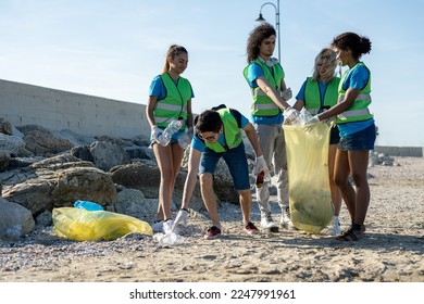 Group of diverse volunteers cleaning the beaches of coastline, multiracial students work and pick up garbage on the sand - Powered by Shutterstock