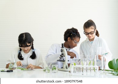 Group Of Diversity Children Scientists Learning And Doing Analysis For Germs With Glassware And Microscope In The Laboratory. Education. Early Development Of Children. Research And Development Concept