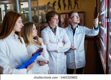 Group Of Doctor Studying The Sections Of The Brain. The Concept Of Health Education. Students In The Classroom With X-rays