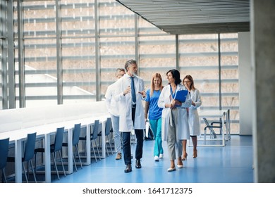 Group Of Doctors Walking In Corridor On Medical Conference.