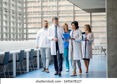 Group Of Doctors Walking In Corridor On Medical Conference.