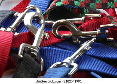 A group of dog leashes - Shutterstock ID 2182541991