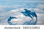 A Group dolphins of jumping on the clouds