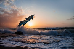 Group Of Dolphins Jumping On Sea Wave At Sunset