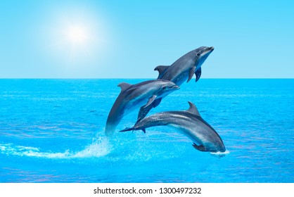 Group of dolphins jumping on the water at bright blue sky